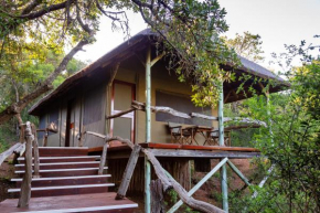 Lalibela Game Reserve Tree Tops Safari Lodge